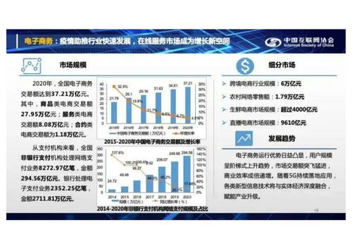 分享i中国互联网发展报告2021 附pdf