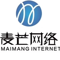 网站二次开发