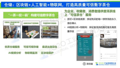 林咏华 以工业互联网驱动农业产业数字化发展