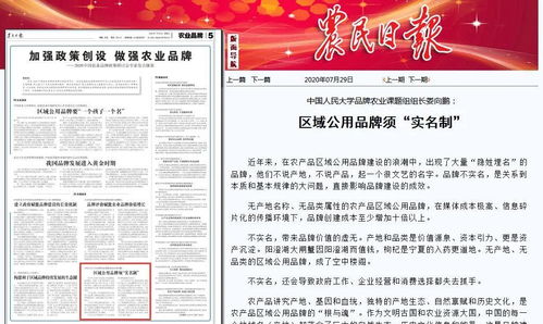 福来战略品牌咨询机构 让品牌农业不走弯路 神农公益大课堂 新年第一课 助推四川筠连农牧业高质量发展