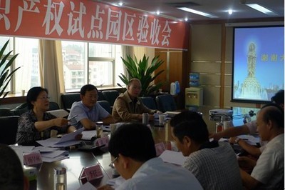 遂宁经济技术开发区通过省级知识产权试点园区验收 - 四川省人民政府网站