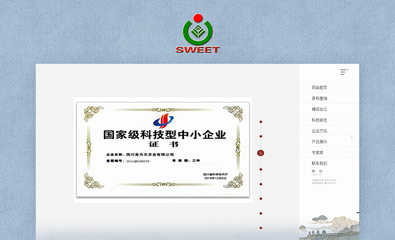 企业网站建设_电商网站开发