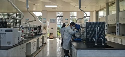 这个没有 锂 矿的县级市为何掌握着全球20 锂 矿资源 看射洪跑出县域发展 加速度